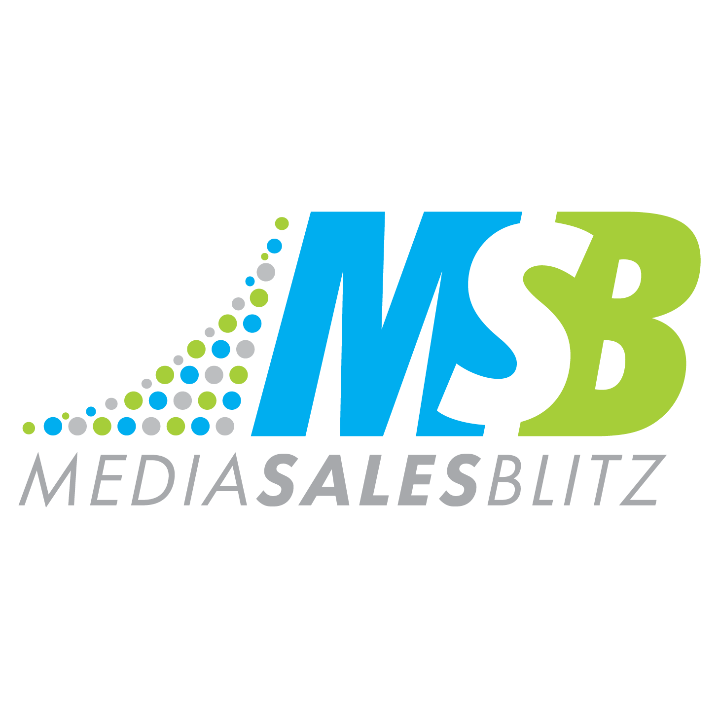 MSBLogo